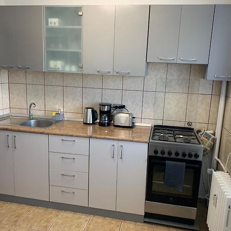 Victoriei Boulevard Private Apartment 브라쇼브 외부 사진