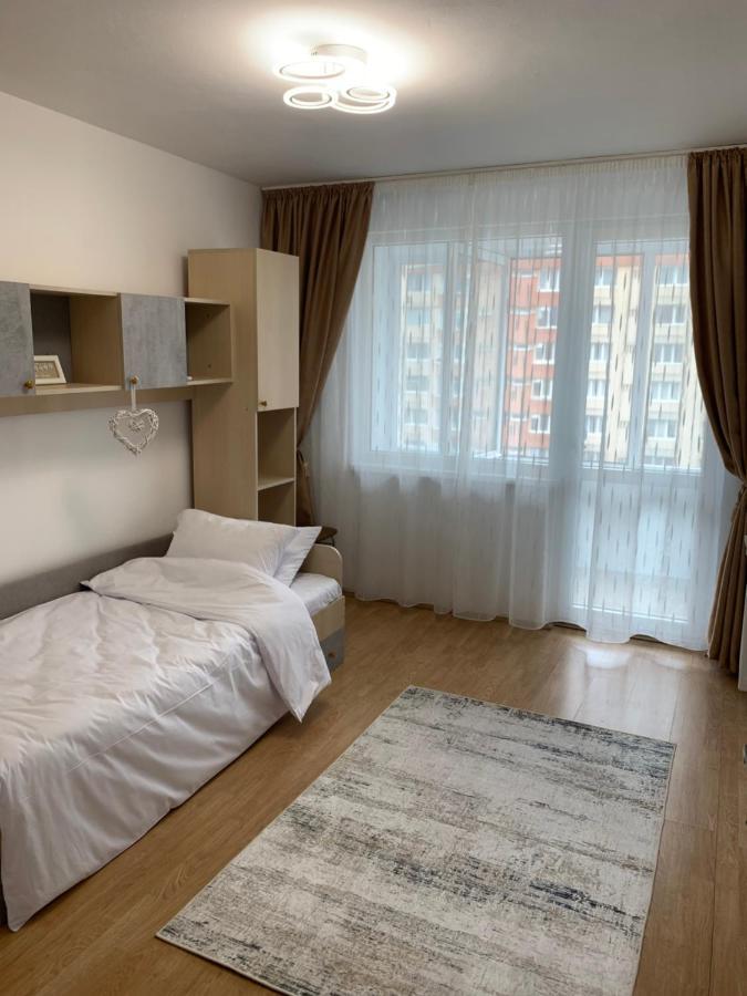 Victoriei Boulevard Private Apartment 브라쇼브 외부 사진