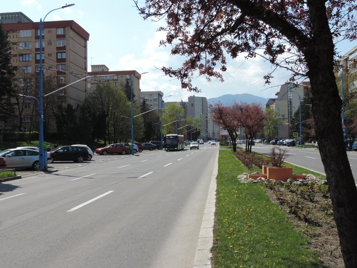 Victoriei Boulevard Private Apartment 브라쇼브 외부 사진