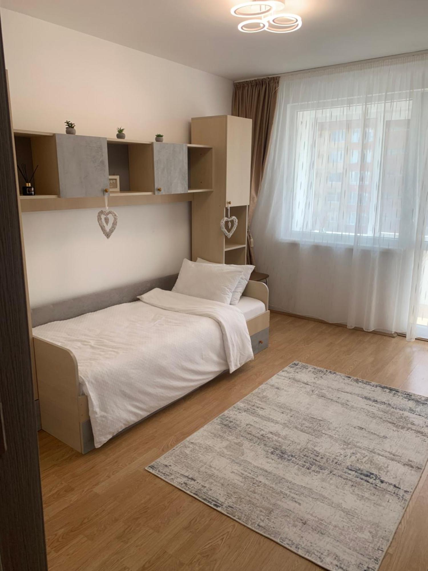 Victoriei Boulevard Private Apartment 브라쇼브 외부 사진