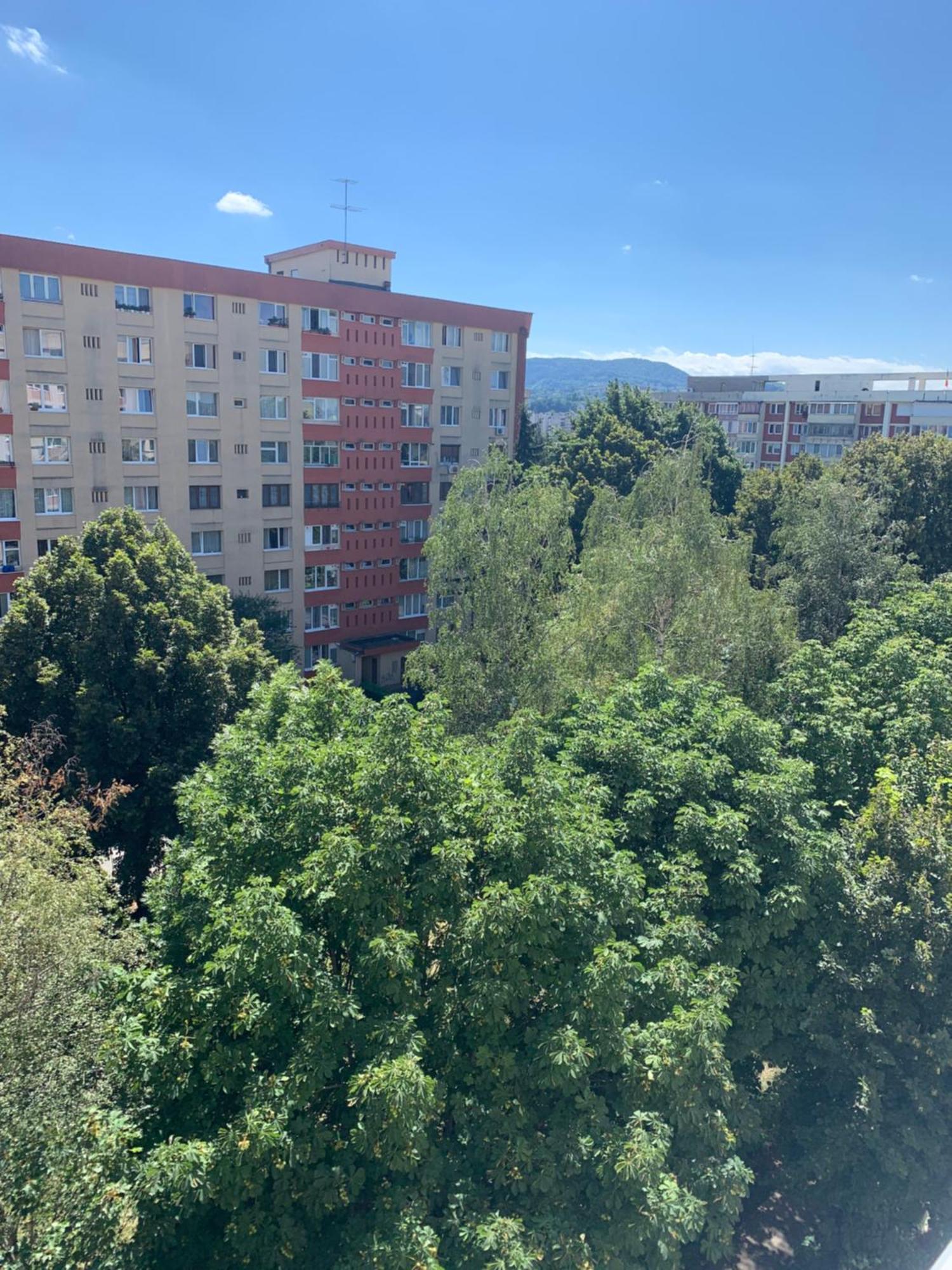 Victoriei Boulevard Private Apartment 브라쇼브 외부 사진
